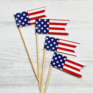 Memorial Day / 4th of July / Red white and blue / Stars and Stripes  / American Flag/ food/party picks / cupcake toppers / set of 24