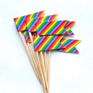 Rainbow / Pride / Cupcake Toppers / Party Picks / set of 24