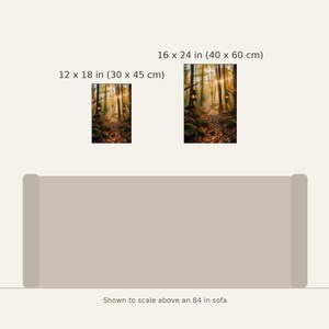 K&ouml;nnte beinhalten: Zwei rechteckige Wandbilder mit einem Waldweg und Laternen, erh&auml;ltlich in 30 x 45 cm und 40 x 60 cm, ma&szlig;stabsgetreu &uuml;ber einem 84-Zoll-Sofa dargestellt. Die Bilder zeigen warmes, goldenes Licht, das durch die B&auml;ume f&auml;llt.