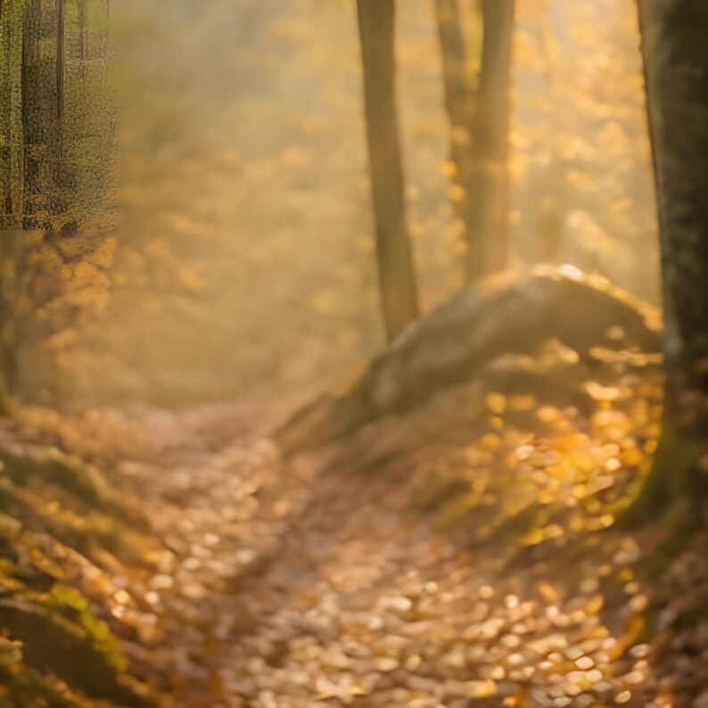 K&ouml;nnte beinhalten: Ein Waldweg bedeckt mit goldenem und braunem Laub, ges&auml;umt von hohen Baumst&auml;mmen und moosbewachsenen Felsen, beleuchtet durch weiches, warmes Sonnenlicht, das durch das Bl&auml;tterdach in einen dunstigen Wald f&auml;llt.