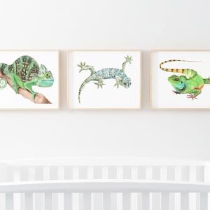 May include: Three framed watercolor paintings of lizards. The first painting shows a green chameleon on a branch. The second painting shows a blue and green gecko. The third painting shows a green lizard with a yellow stripe on its back.