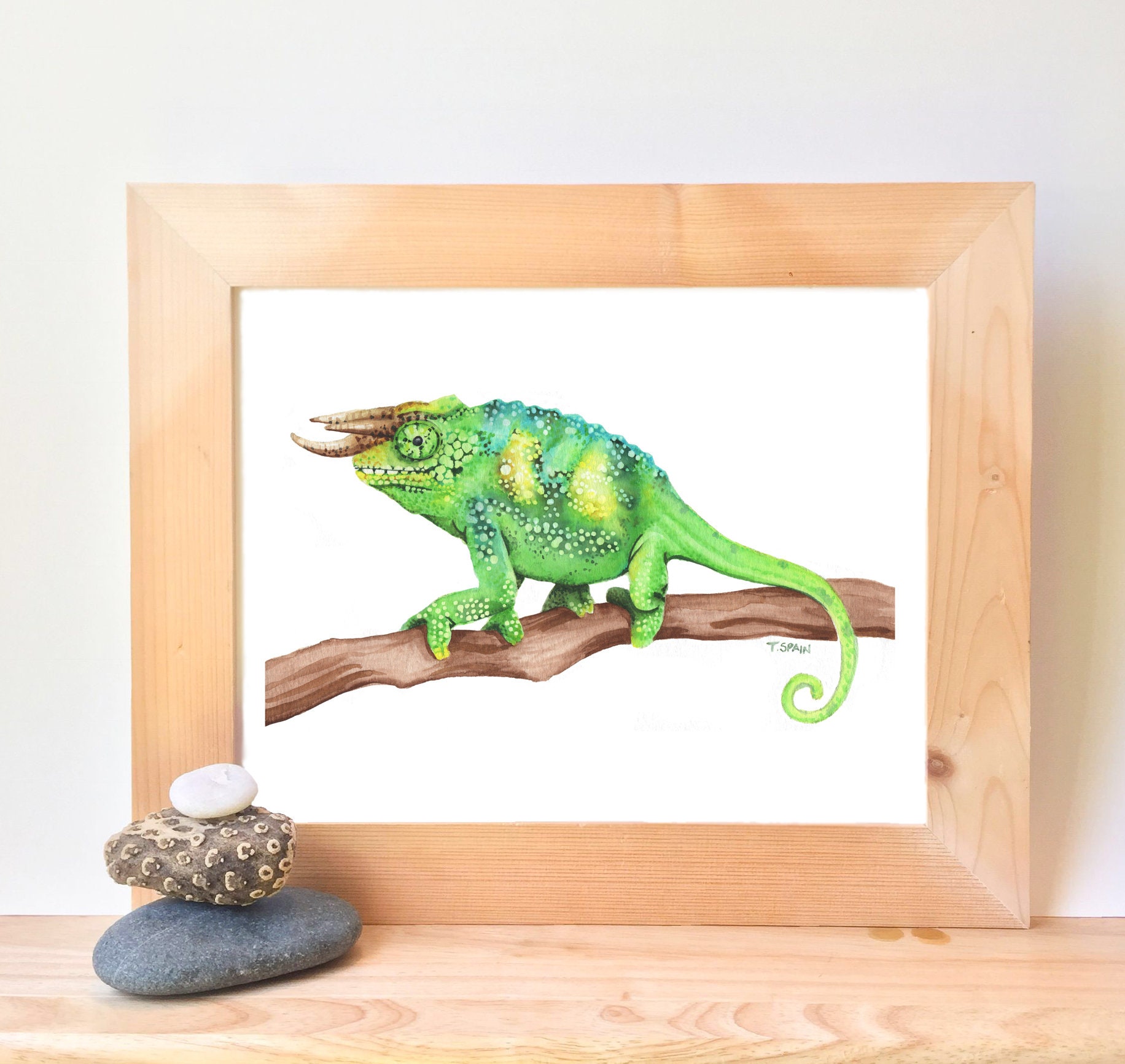 Baby Chameleon Reptile PNG Clipart, Transparent Animal Lover Print Kids  Clip Art, Cute Cartoon Design, DIY Printable Sublimation T-shirt,mug 