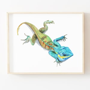 May include: Watercolor painting of a blue and green lizard with yellow stripes. The lizard is depicted in a dynamic pose with its tail curled and its head tilted to the side.
