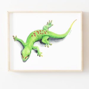 Könnte beinhalten: Ein Aquarellbild eines grünen Geckos mit roten Flecken auf dem Rücken. Der Gecko liegt auf dem Bauch mit eingerolltem Schwanz. Der Hintergrund ist weiß.