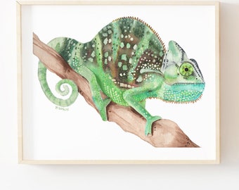 May include: A watercolor painting of a green chameleon perched on a branch. The chameleon has a long tail and large, green eyes. The painting is on a white background.