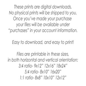 May include: Text explaining that these prints are digital downloads and will not be shipped. The text also lists the available print sizes in inches: 9x12, 12x16, 18x24, 8x10, 16x20, 8x8, 10x10, and 12x12.