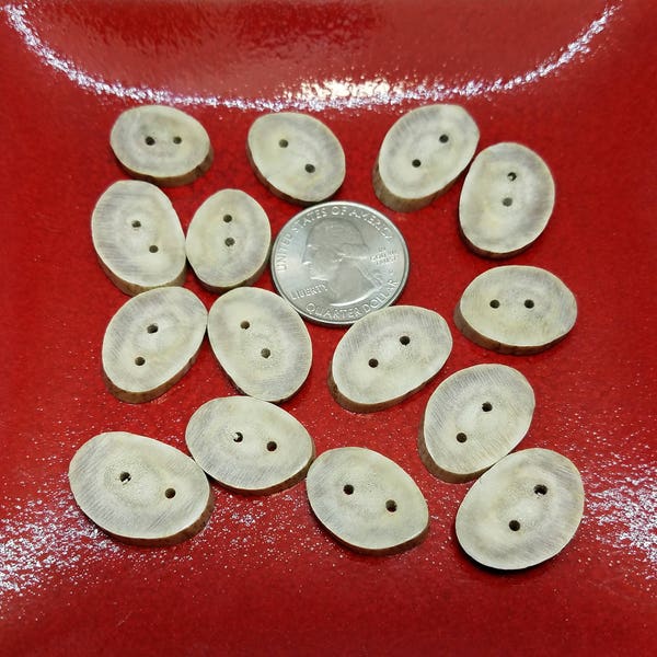 15 Small Antler Buttons - Size 1/2" to 7/8", Antler Buttons, Small Antler Buttons