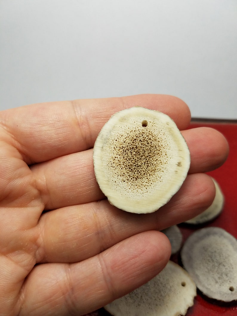 Size 1 14 to 1 34 Antler Pieces for Pendants or Earrings Antler Pieces 7 Large Antler Pendants or Earrings