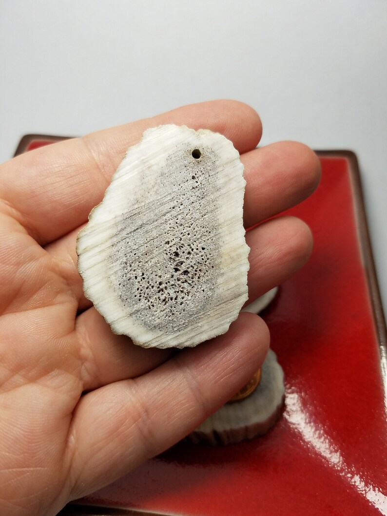 3 Extra Large Antler Pendants Antler Pieces for Pendants Size 2 to 1 12 Antler Pieces