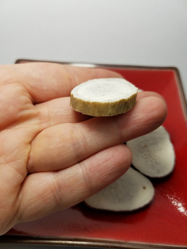 Antler Pieces for Pendants or Earrings Size 1 14 to 1 34 6 Large Antler Pendants or Earrings Antler Pieces