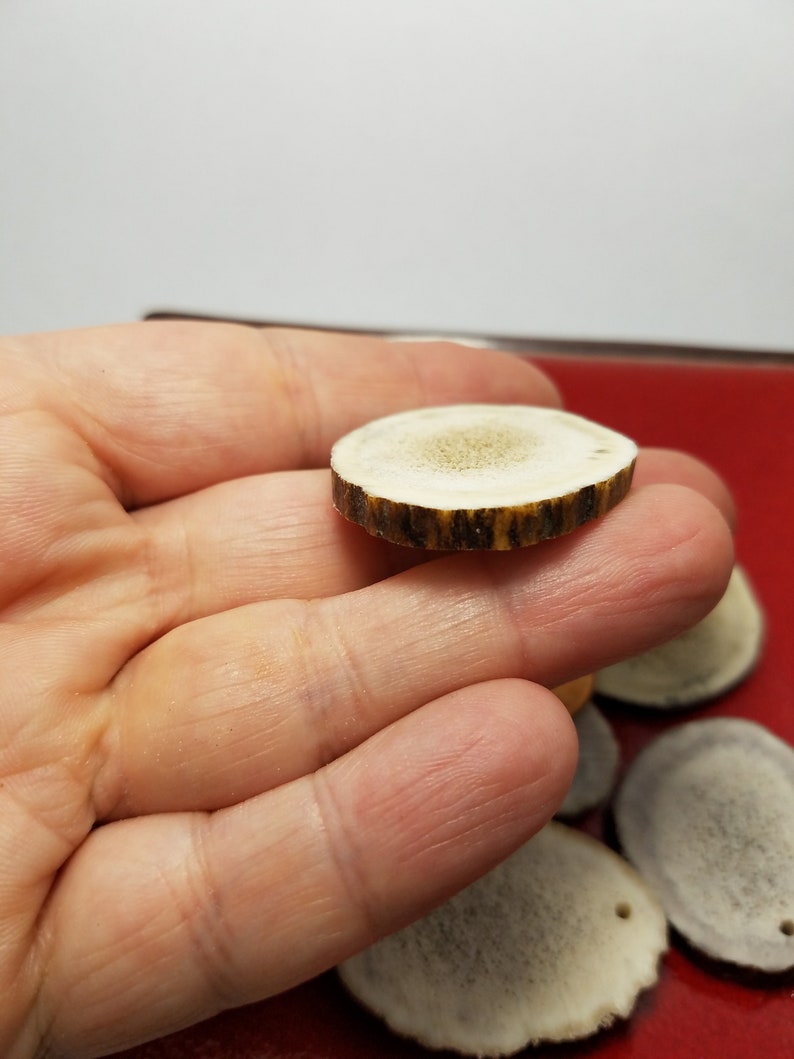 Size 1 14 to 1 34 Antler Pieces for Pendants or Earrings Antler Pieces 7 Large Antler Pendants or Earrings
