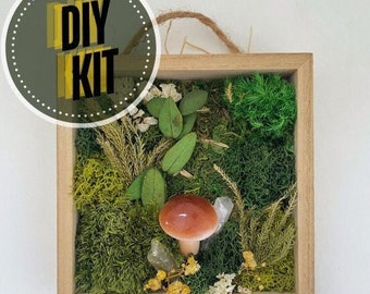 Moss DIY Kit, Mushroom DIY Kit, Crystal DIY Kit. Do It Yourself,