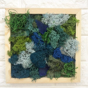Moss DIY Kit, DIY Gift, Adult DIY Kit, Kid diy, Moss Box, Preserved Moss, Moss Frame