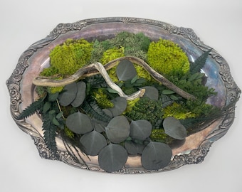 Oval Shaped Silver Platter with Preserved Plants, Moss Art, Vintage Silver, Drift Wood