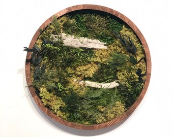 Moss Art, Round Frame, Preserved Moss, Forest Floor, Earthy