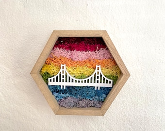 Hexagon Moss Wall Art, San Francisco Golden Gate Bridge