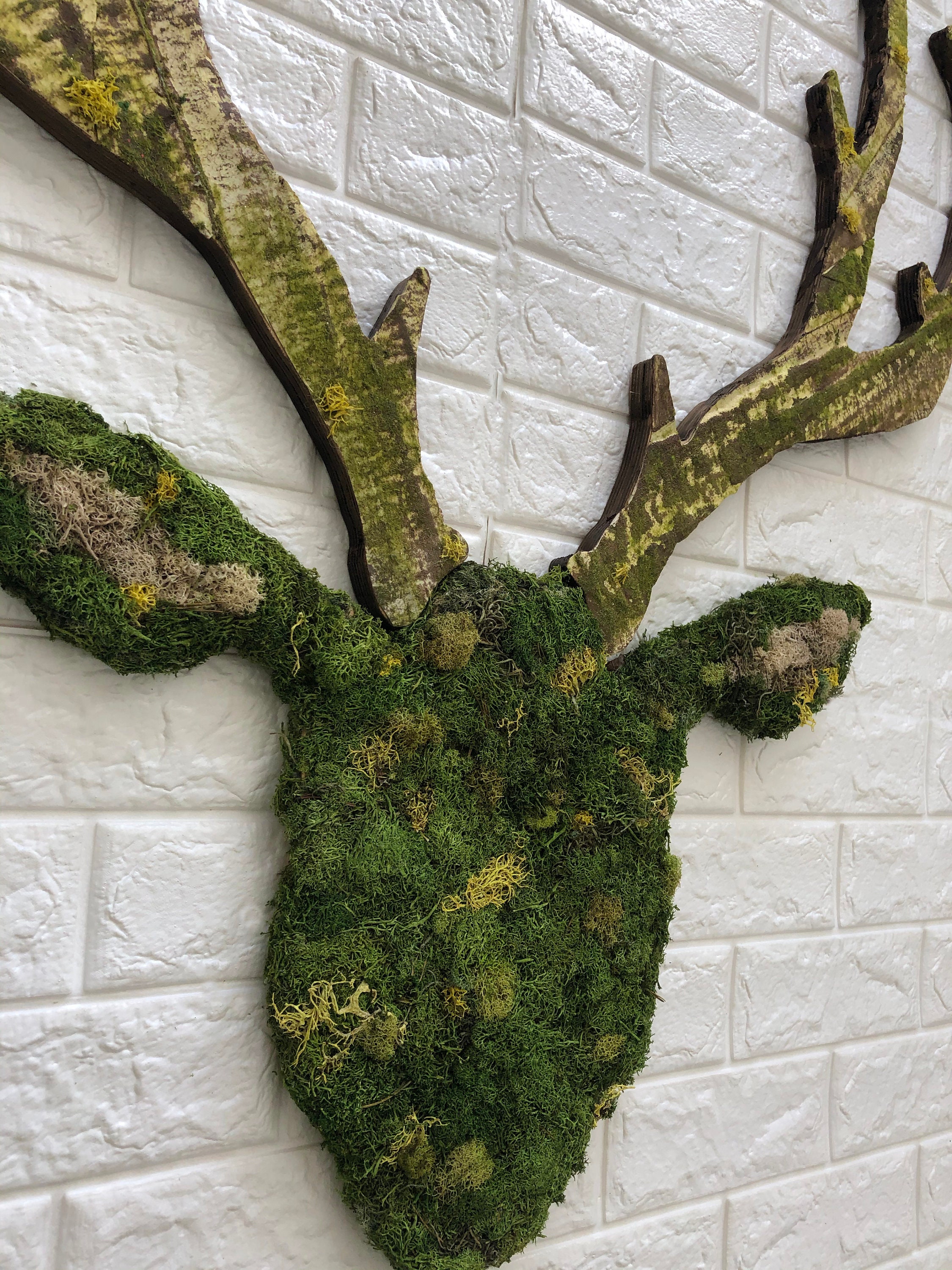 Reindeer Moss Art Preserved Moss Buck Art Deer Art Etsy