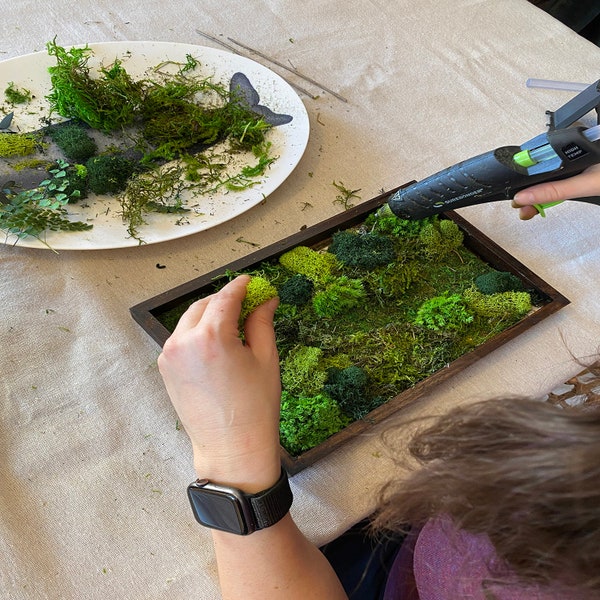 DIY Kit, Preserved Moss Art, Wall Decor, DIY Craft Kit, Kid Friendly, Nature Lover Gift