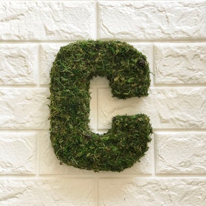8 Moss Letters, Moss Numbers, Party Decoration, Preserved Moss, Unique ...