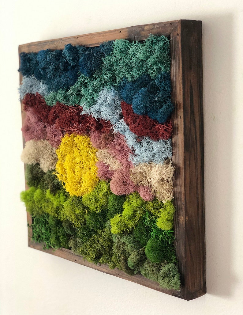 Moss Wall Decor Moss Art Moss Wall Hanging Etsy