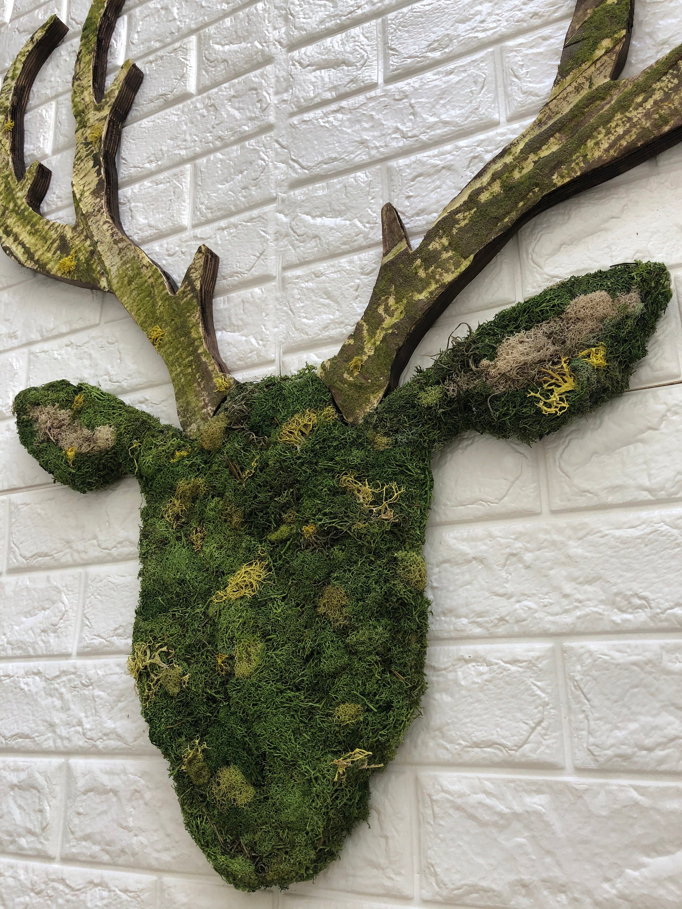 Reindeer Moss Art Preserved Moss Buck Art Deer Art Etsy