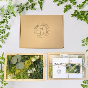 Crystal and Moss DIY Kit, Kids Activity, Adult Activity, Preserved Moss