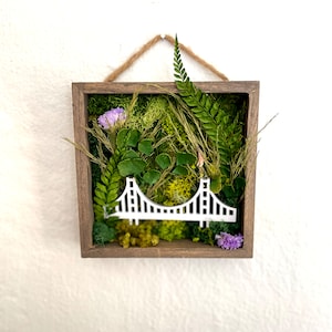 Small Hanging San Francisco, Golden Gate Bridge, Moss Art