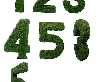 12" Moss Numbers