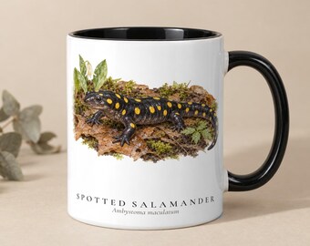 May include: A white ceramic mug with a black interior and handle, featuring a detailed illustration of a black spotted salamander on a mossy forest floor. The text below the image reads "SPOTTED SALAMANDER" and "Ambystoma maculatum".