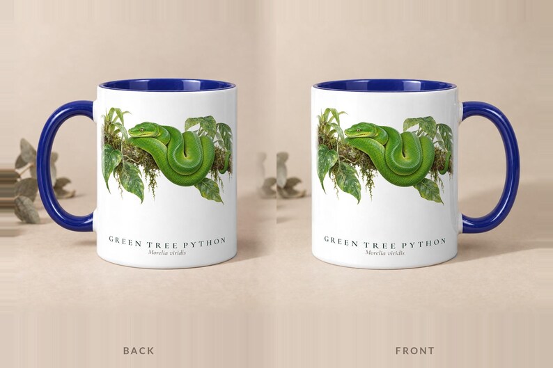 Green Tree Python mug with a blue handle and inside, back and front views