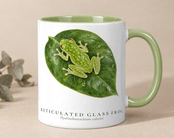 May include: A white ceramic mug with a light green interior and handle. The exterior features a detailed illustration of a green reticulated glass frog resting on a dark green leaf with water droplets. Text reads: RETICULATED GLASS FROG Hyalinobatrachium valerioi.