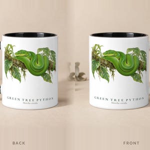 Green Tree Python mug with a black handle and inside, back and front views