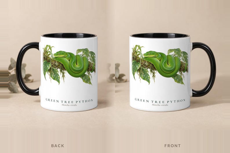 Green Tree Python mug with a black handle and inside, back and front views
