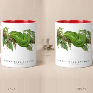 Green Tree Python mug with a red handle and inside, back and front views