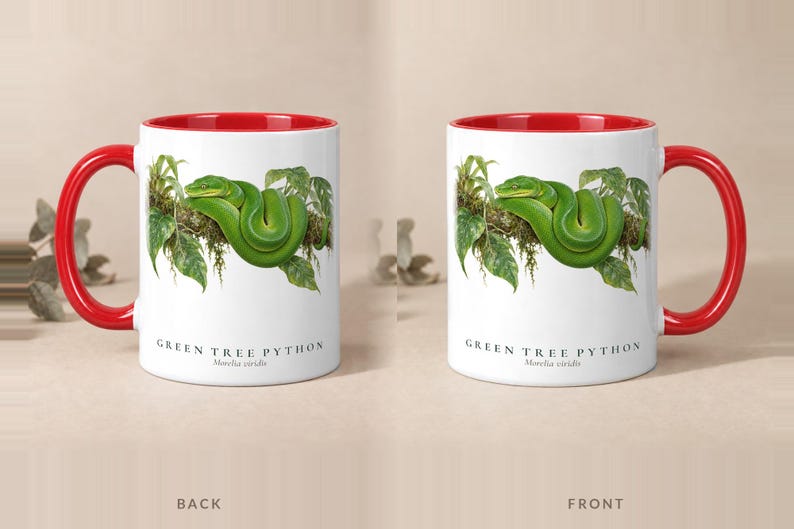 Green Tree Python mug with a red handle and inside, back and front views