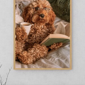 May include: A framed wall art print featuring a curly-haired, golden-brown dog wearing thin-rimmed glasses. The dog is positioned on a bed, holding an open book with one paw and a white ceramic mug filled with a brown beverage in the other.