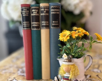 Vintage Book Stack/Book Bundle/Farmhouse Books/Colorful Books/Staging Books/Old Books/Books to Decorate