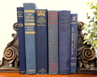 Blue Vintage Books/Book Decor/Bookshelf Design/Decorative Books/Old Books/Home Decor/Farmhouse Decor/Cottage Style/Home Staging