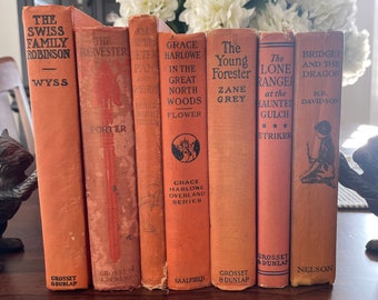 Orange Vintage Books/Antique Books/Farmhouse Books/Staging Books/Book Bundle/Tattered Books/Rustic Books/Farmhouse Collection/Old Books