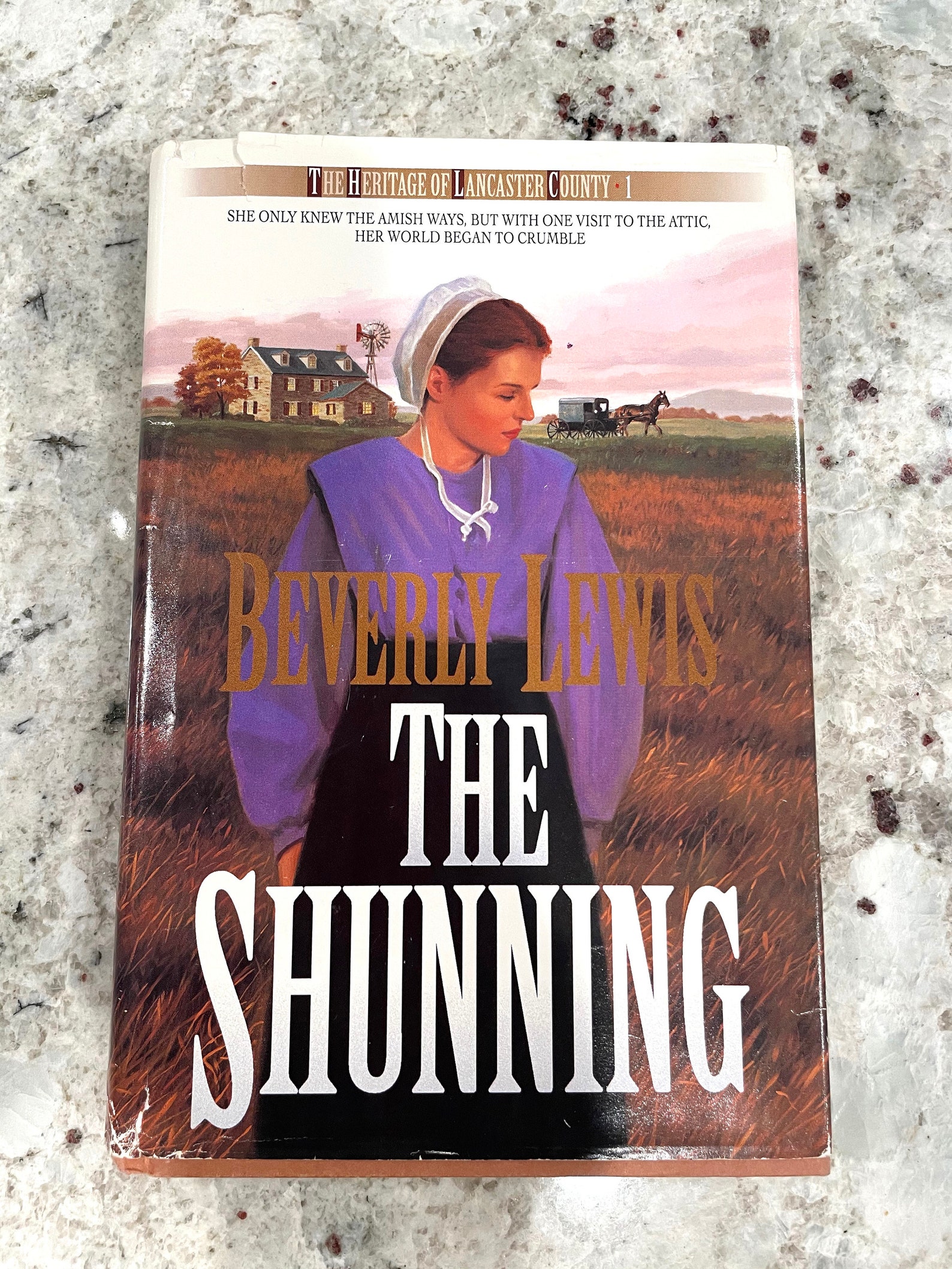 Beverly Lewis/Amish Stories/Hard Back Book/The Shunning/Book Etsy