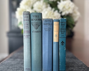 Blue Vintage Books/Rustic Farmhouse Books/Book Stack/Book Bundle/Old Books/Books to Decorate/Home Staging/Shabby Decor/Book Collection