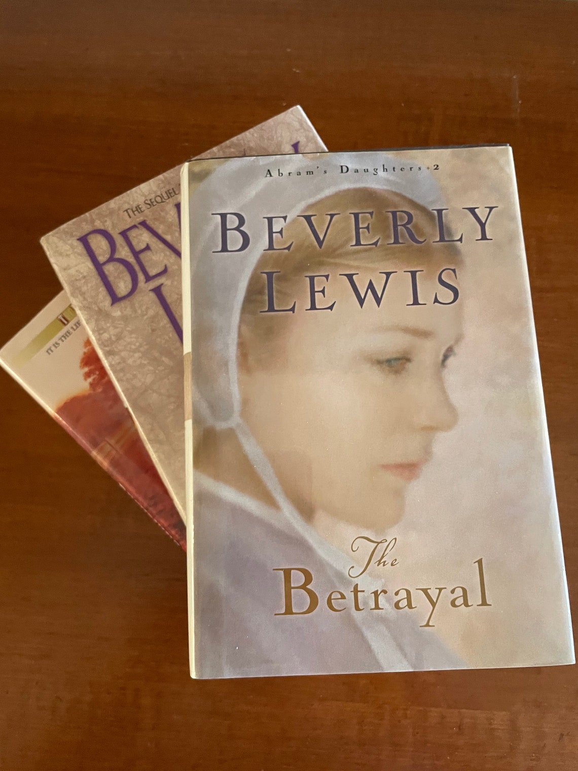 Beverly Lewis Three Hardcover Book Set/Vintage Books/Amish Etsy