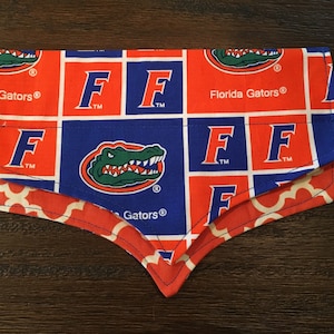 University of Florida Gators Cat & Dog Bandana