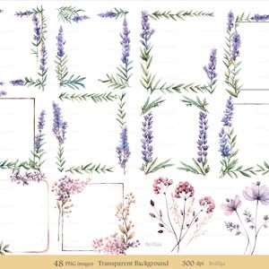 48 Wildflowers Frames Clipart, Lavender, Meadow Flowers, Printable Watercolor Clipart, High Quality PNGs, Digital Download, Digital Clip Art