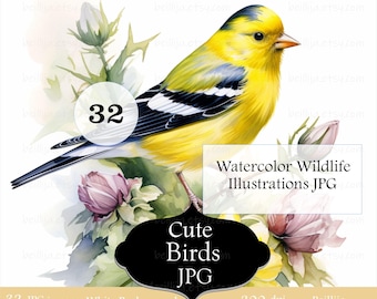 Watercolor Grosbeak Goldfinch Illustrations: 32 Bird JPG Clipart (Digital Download)