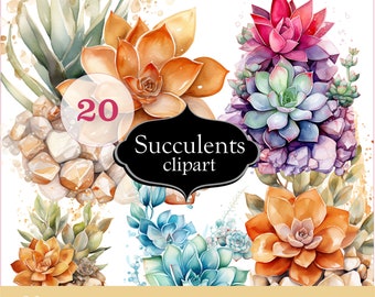 20 png Watercolor Succulents Clipart, House Plants, Set of succulents, pink orange light blue for creating