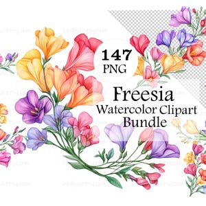 147 Arreglos florales de fresias (PNG) para invitaciones de cumpleaños. Ilustraciones de acuarela. Imágenes prediseñadas. PNG de alta calidad.