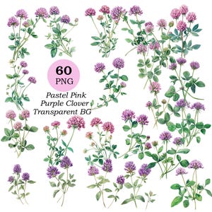 60 imágenes prediseñadas de trébol rosa, imágenes prediseñadas de acuarela imprimibles en tonos rosa pastel y morado, PNG de alta calidad, descarga digital, proyectos de manualidades con papel