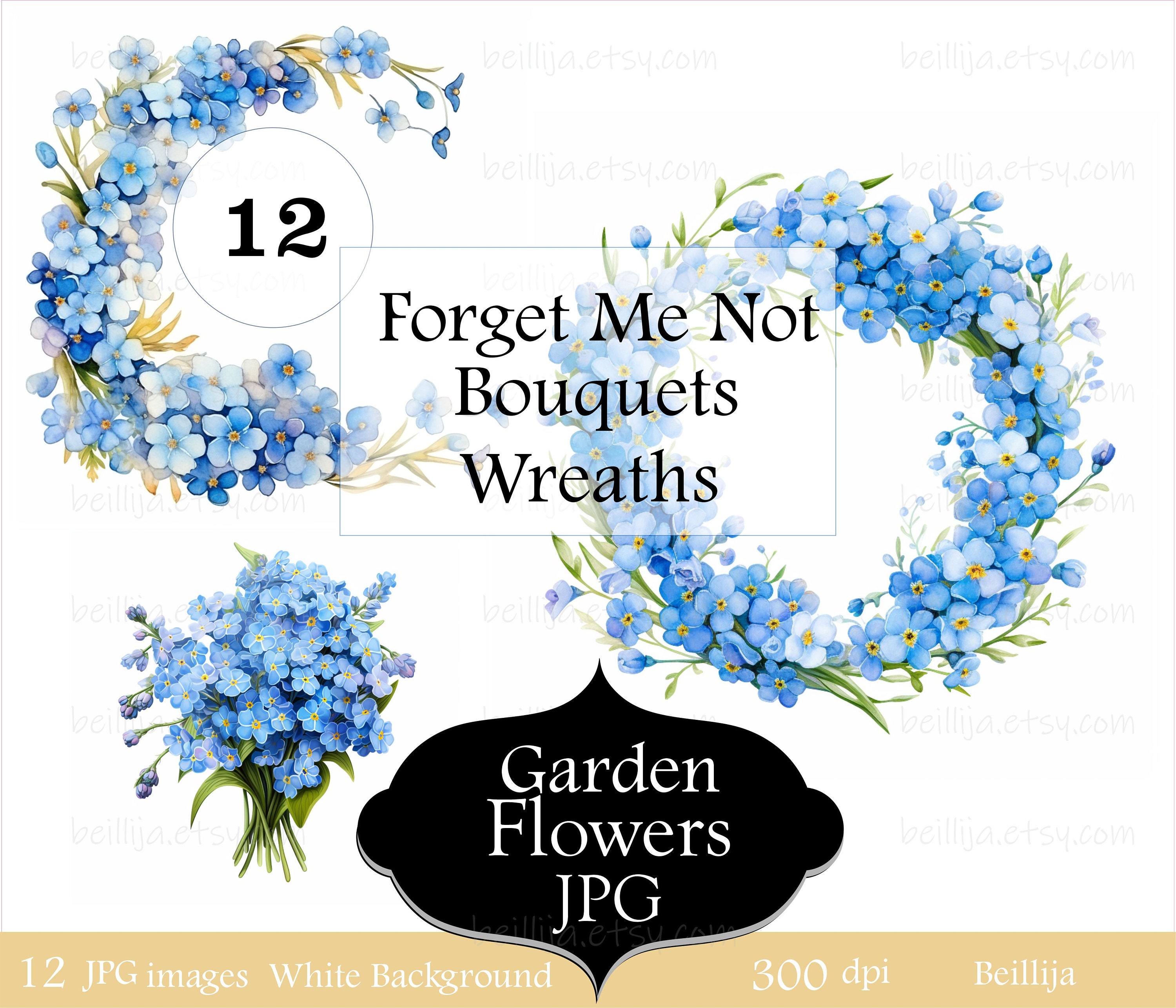 12 Clipart Acuarela Nomeolvides, Coronas y Ramos de Flores PNG JPG, Gráficos Florales Imprimibles, Descarga Digital de Alta Resolución