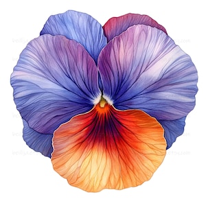 Watercolor Pansy Clipart: Purple, Orange, Blue Floral PNG (Commercial Use OK, Digital Download)